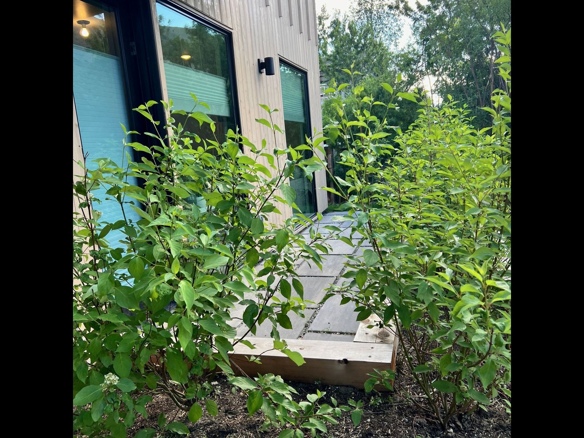 Outside Area Outside Area